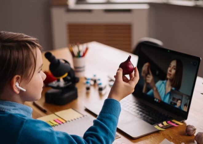 The Different Types of Online Programs Available Today