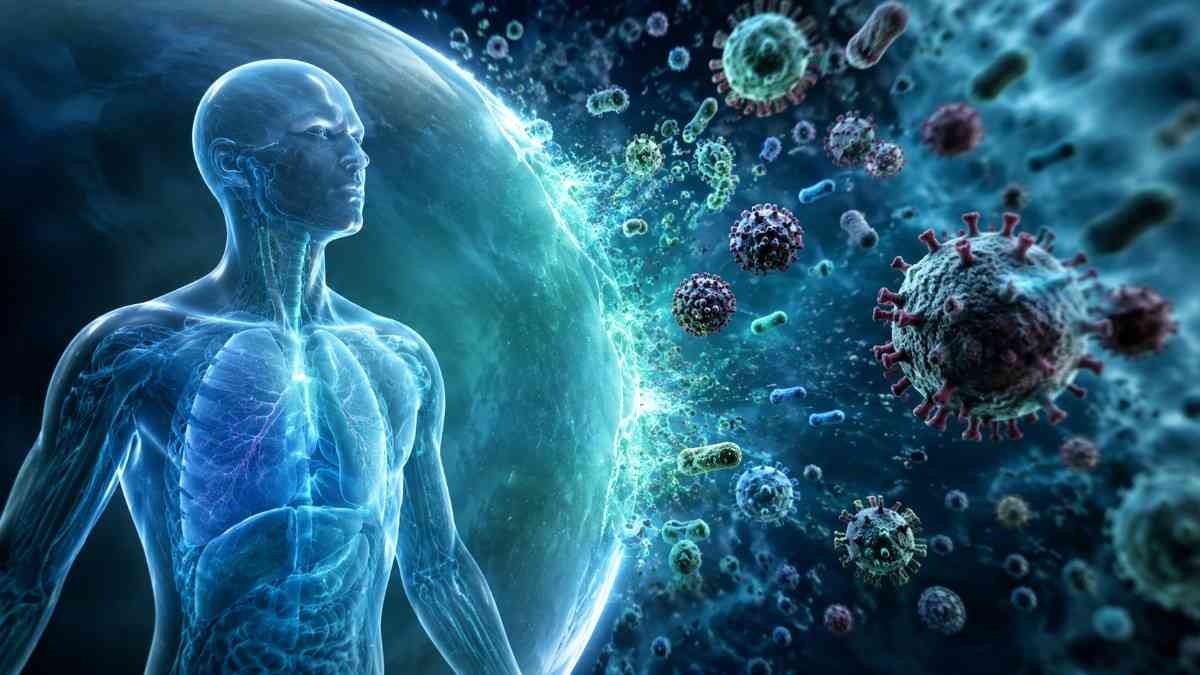 The Silent Impact: What Happens When Your Immune System Is Compromised